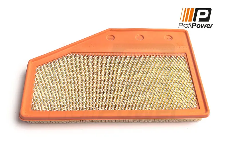 Luftfilter ProfiPower 2F0256