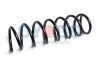 Fahrwerksfeder Hinterachse Oyodo 30A9126-OYO