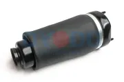 Luftfeder, Fahrwerk Vorderachse beidseitig Oyodo 40A0059-OYO