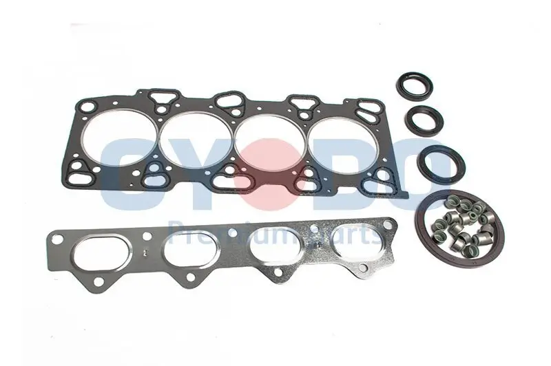 Dichtungsvollsatz, Motor Oyodo 10U0525-OYO