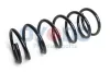 Fahrwerksfeder Hinterachse Oyodo 30A0034-OYO