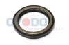 Wellendichtring, Schaltgetriebe Getriebeeingangswelle Oyodo 85S0333-OYO