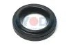 Dichtring, Kerzenschacht Oyodo 40U0538-OYO