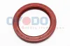 Wellendichtring, Kurbelwelle getriebeseitig Oyodo 27U0001-OYO