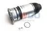 Luftfeder, Fahrwerk Hinterachse rechts Oyodo 40A0049-OYO Bild Luftfeder, Fahrwerk Hinterachse rechts Oyodo 40A0049-OYO