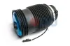 Luftfeder, Fahrwerk hinten links Oyodo 40A0037-OYO Bild Luftfeder, Fahrwerk hinten links Oyodo 40A0037-OYO