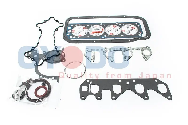Dichtungsvollsatz, Motor Oyodo 10U0007-OYO