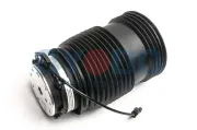 Luftfeder, Fahrwerk hinten links Oyodo 40A0037-OYO