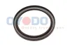 Wellendichtring, Kurbelwelle getriebeseitig Oyodo 27U0501-OYO
