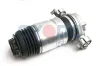 Luftfeder, Fahrwerk Hinterachse rechts Oyodo 40A0051-OYO Bild Luftfeder, Fahrwerk Hinterachse rechts Oyodo 40A0051-OYO