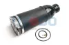 Luftfeder, Fahrwerk Vorderachse Oyodo 40A0046-OYO Bild Luftfeder, Fahrwerk Vorderachse Oyodo 40A0046-OYO