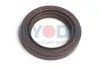 Wellendichtring, Kurbelwelle stirnseitig Oyodo 26U0303-OYO