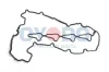 Dichtung, Zylinderkopfhaube Oyodo 40U0015-OYO