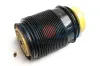 Luftfeder, Fahrwerk Hinterachse links Oyodo 40A0023-OYO