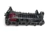 Saugrohrmodul JPN 80B9006-JPN Bild Saugrohrmodul JPN 80B9006-JPN