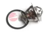 Thermostat, Kühlmittel JPN 20C9009-JPN