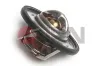 Thermostat, Kühlmittel JPN 20C9017-JPN