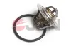 Thermostat, Kühlmittel JPN 20C9069-JPN