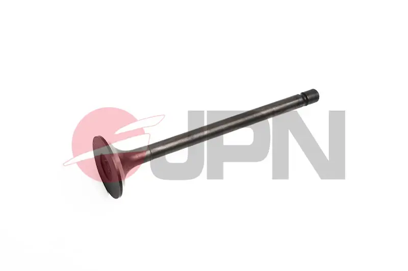 Auslassventil JPN 80M0519-JPN