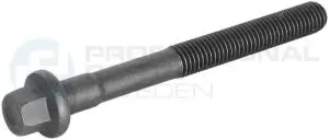 Zylinderkopfschraube Professional Parts 21437762 Bild Zylinderkopfschraube Professional Parts 21437762