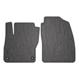 Fußmattensatz Frogum ND0301