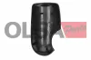 Abdeckung, Außenspiegel links OLSA Aftermarket 75417 Bild Abdeckung, Außenspiegel links OLSA Aftermarket 75417