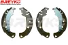 Bremsbackensatz Hinterachse DAVID VASCO W8442 Bild Bremsbackensatz Hinterachse DAVID VASCO W8442