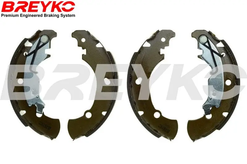 Bremsbackensatz Hinterachse DAVID VASCO W8488