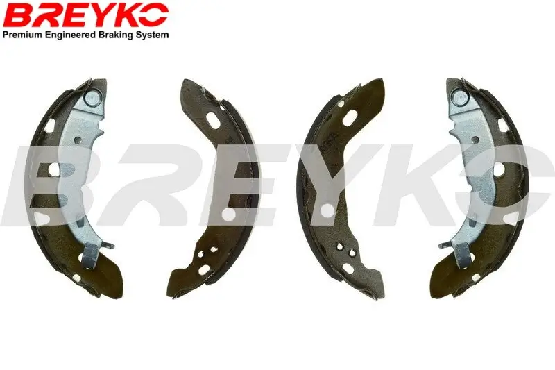 Bremsbackensatz Hinterachse DAVID VASCO W8627