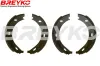 Bremsbackensatz Hinterachse DAVID VASCO W8688