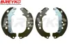 Bremsbackensatz Hinterachse DAVID VASCO W8736
