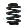 Fahrwerksfeder Hinterachse PROFLEX AUTOMOTIVE PX1-0305 Bild Fahrwerksfeder Hinterachse PROFLEX AUTOMOTIVE PX1-0305