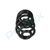 Fahrwerksfeder Hinterachse PROFLEX AUTOMOTIVE PX1-0550 Bild Fahrwerksfeder Hinterachse PROFLEX AUTOMOTIVE PX1-0550