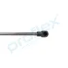 Gasfeder, Koffer-/Laderaum hinten PROFLEX AUTOMOTIVE PX2-0195 Bild Gasfeder, Koffer-/Laderaum hinten PROFLEX AUTOMOTIVE PX2-0195