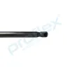 Gasfeder, Koffer-/Laderaum hinten PROFLEX AUTOMOTIVE PX2-0251 Bild Gasfeder, Koffer-/Laderaum hinten PROFLEX AUTOMOTIVE PX2-0251