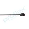 Gasfeder, Koffer-/Laderaum hinten PROFLEX AUTOMOTIVE PX2-0252 Bild Gasfeder, Koffer-/Laderaum hinten PROFLEX AUTOMOTIVE PX2-0252