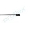 Gasfeder, Koffer-/Laderaum hinten PROFLEX AUTOMOTIVE PX2-0454 Bild Gasfeder, Koffer-/Laderaum hinten PROFLEX AUTOMOTIVE PX2-0454