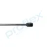 Gasfeder, Koffer-/Laderaum hinten PROFLEX AUTOMOTIVE PX2-0484 Bild Gasfeder, Koffer-/Laderaum hinten PROFLEX AUTOMOTIVE PX2-0484