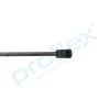 Gasfeder, Motorhaube vorne PROFLEX AUTOMOTIVE PX2-0486 Bild Gasfeder, Motorhaube vorne PROFLEX AUTOMOTIVE PX2-0486