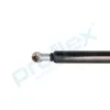 Gasfeder, Koffer-/Laderaum hinten PROFLEX AUTOMOTIVE PX2-0499 Bild Gasfeder, Koffer-/Laderaum hinten PROFLEX AUTOMOTIVE PX2-0499