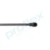 Gasfeder, Koffer-/Laderaum hinten PROFLEX AUTOMOTIVE PX2-0501 Bild Gasfeder, Koffer-/Laderaum hinten PROFLEX AUTOMOTIVE PX2-0501