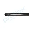 Gasfeder, Koffer-/Laderaum hinten PROFLEX AUTOMOTIVE PX2-0552 Bild Gasfeder, Koffer-/Laderaum hinten PROFLEX AUTOMOTIVE PX2-0552