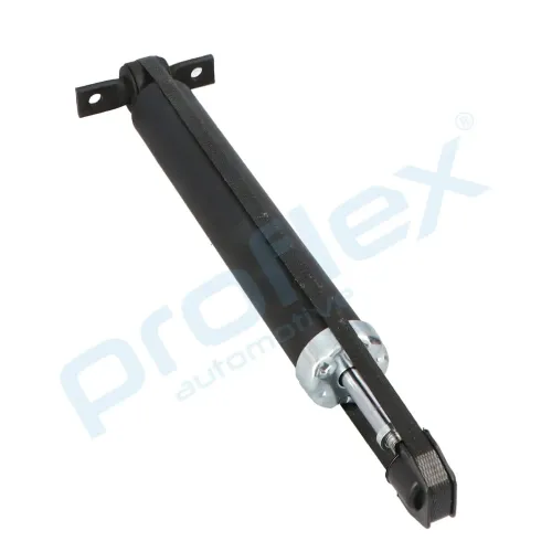 Stoßdämpfer Hinterachse links Hinterachse rechts PROFLEX AUTOMOTIVE PX5-BC250 Bild Stoßdämpfer Hinterachse links Hinterachse rechts PROFLEX AUTOMOTIVE PX5-BC250