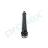 Stoßdämpfer Hinterachse links Hinterachse rechts PROFLEX AUTOMOTIVE PX5-BI863 Bild Stoßdämpfer Hinterachse links Hinterachse rechts PROFLEX AUTOMOTIVE PX5-BI863