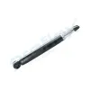 Stoßdämpfer Hinterachse links Hinterachse rechts PROFLEX AUTOMOTIVE PX5-BI876 Bild Stoßdämpfer Hinterachse links Hinterachse rechts PROFLEX AUTOMOTIVE PX5-BI876