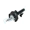 Stoßdämpfer Vorderachse rechts PROFLEX AUTOMOTIVE PX5-FC120 Bild Stoßdämpfer Vorderachse rechts PROFLEX AUTOMOTIVE PX5-FC120