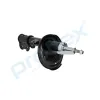 Stoßdämpfer Vorderachse rechts PROFLEX AUTOMOTIVE PX5-FC325 Bild Stoßdämpfer Vorderachse rechts PROFLEX AUTOMOTIVE PX5-FC325