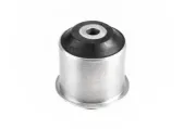 Achskörper Hinterachse beidseitig MPBS 4500753-00/CS