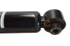 Stoßdämpfer Hinterachse CHITAO CT9609 Bild Stoßdämpfer Hinterachse CHITAO CT9609