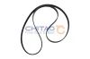 Keilriemen CHITAO CT9925 Bild Keilriemen CHITAO CT9925